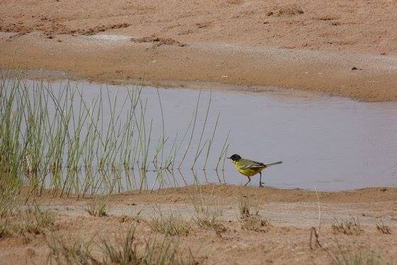 Nature et paysages