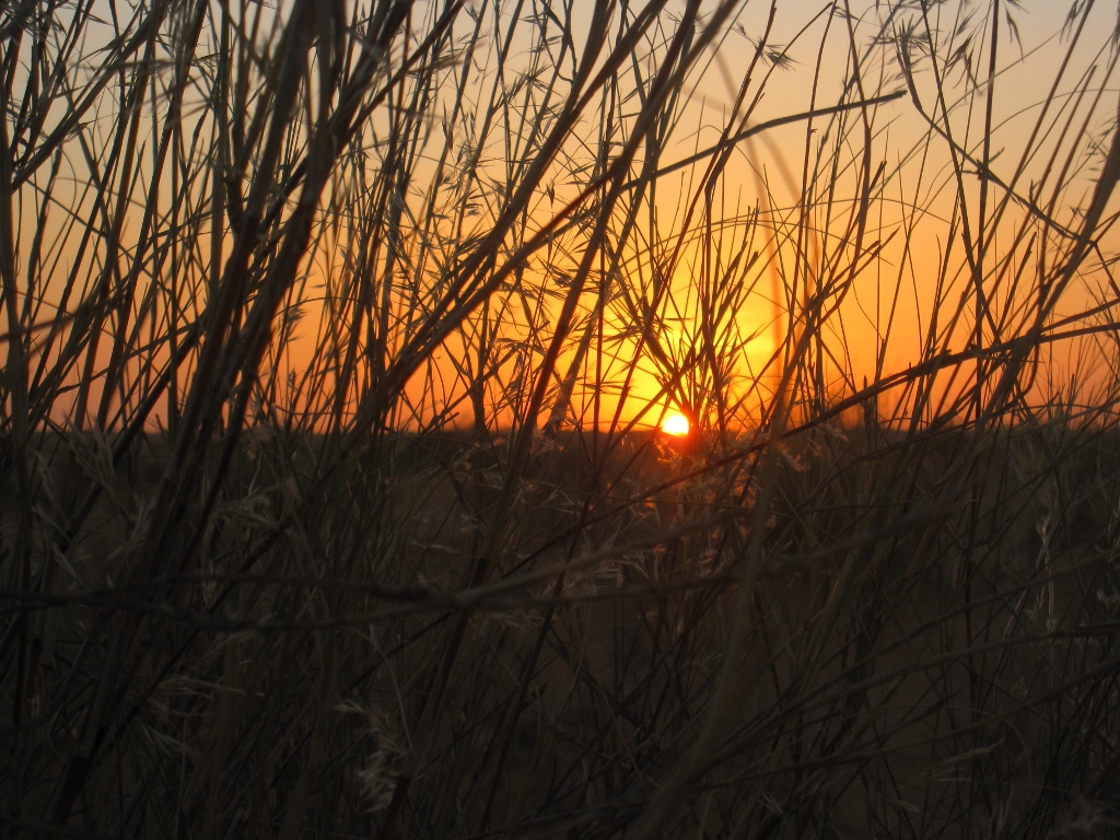 Nature et paysages