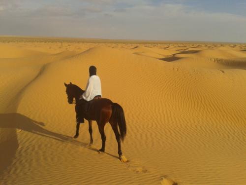 A cheval dans dunes 1