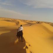 A cheval dans dunes